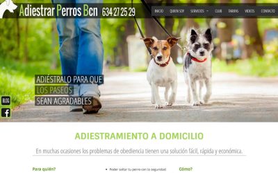 Adiestrar perros BCN