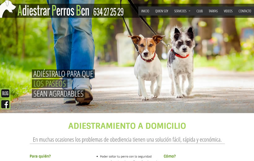 Adiestrar perros BCN