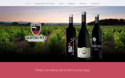 Bodega Feo