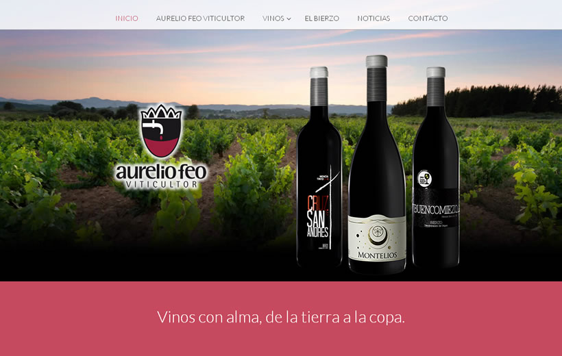 Bodega Feo