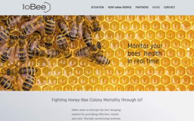 IoBee