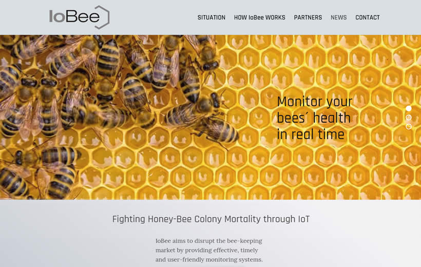 IoBee