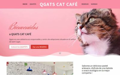 Qgats Cat Cafe
